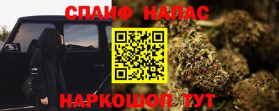 гидра Татарск