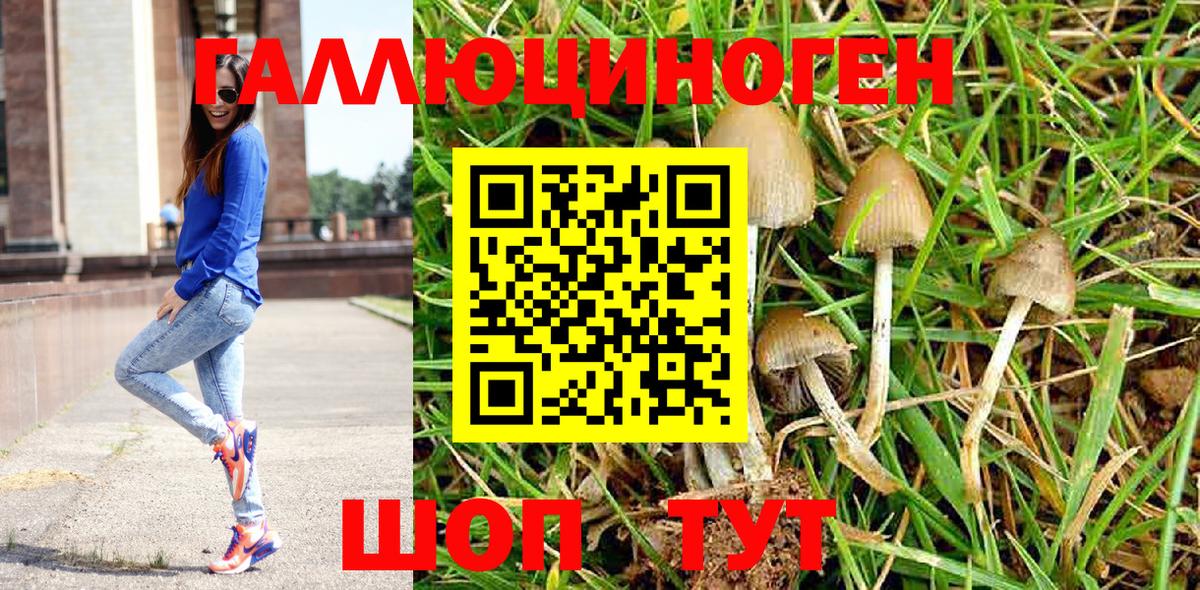 Галлюциногенные грибы GOLDEN TEACHER Орёл